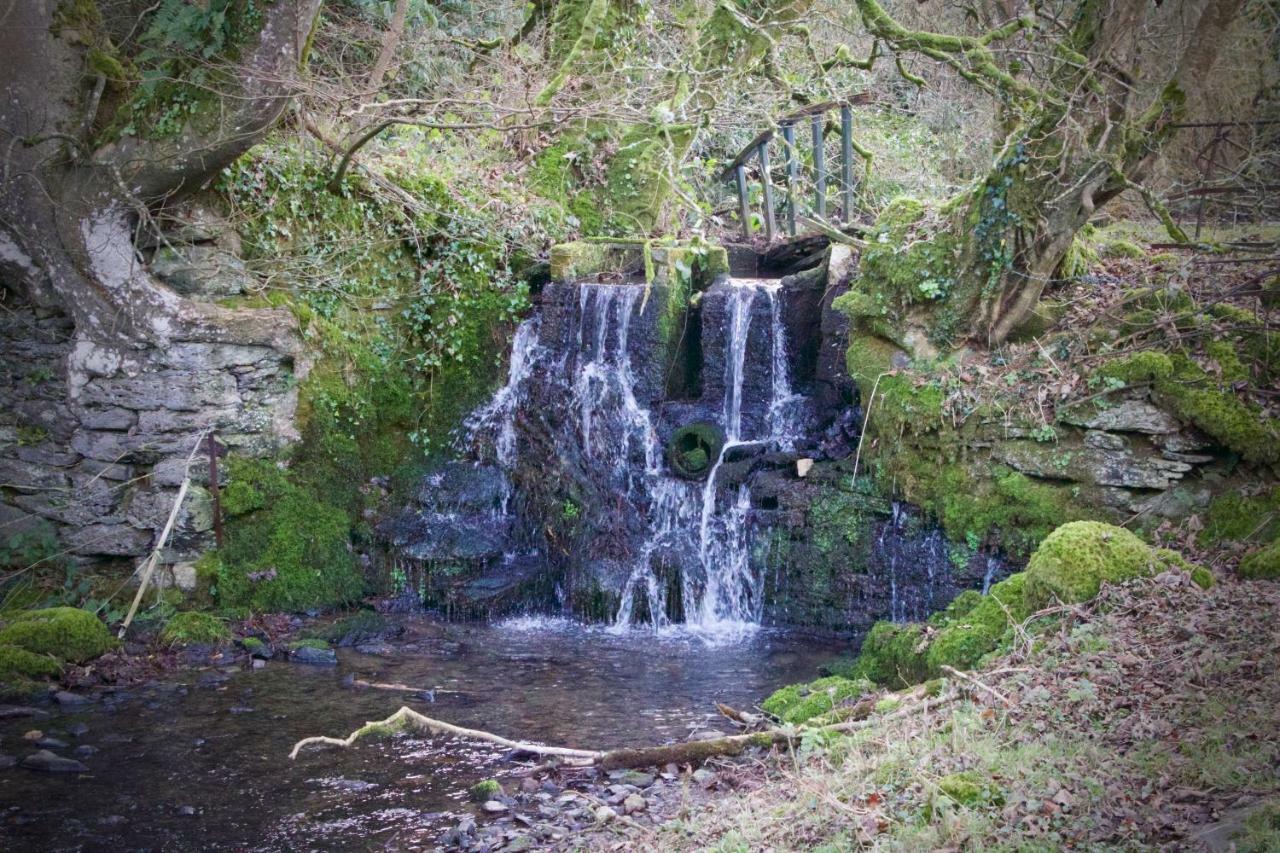 Waterfall Cottage Лонсестон Экстерьер фото
